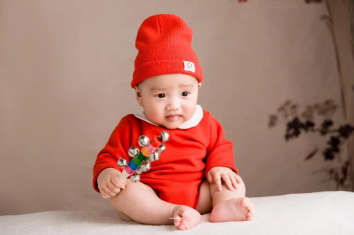 靖边内蒙古助孕生子医院排名前十，过来人经验揭秘